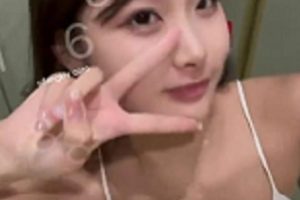 我居然把高阶全系列社保都囤了!我的究极核弹宝藏女孩小屁。