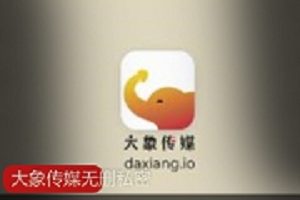 《大象传媒出品：家庭主妇、空姐、粉丝、修车师傅的真实剧情交流型演技》