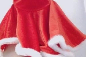 最新转载搬运聖誕裝1V742MB百度盘