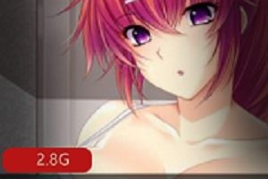 《自由感爆棚的家庭——游戏研究》