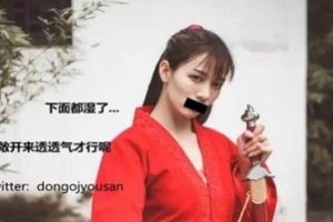 超强大阵容：理万姬、小姐和妻的珍藏宝典