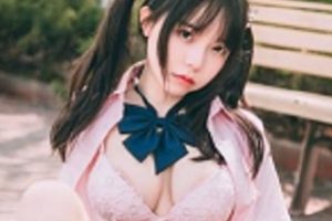 网红六味帝皇酱COS作品合集，12套视频，4G大小