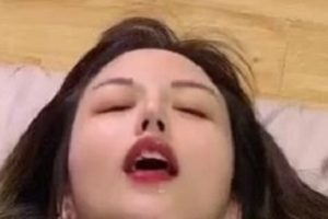 91小蓝作品合集