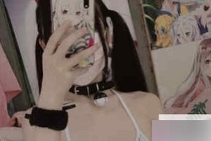 25套86V+直播33.6G绝版合集社保姬小齿幼喵全合集