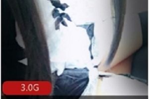 猫奴小明的日常：合集10个视频时长3-5分钟