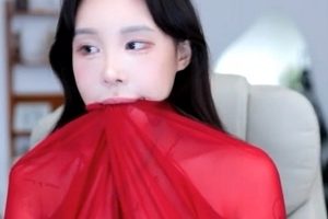 独特魅力！赛琳韩国烧鸡第二弹，40V15G视频大放送！