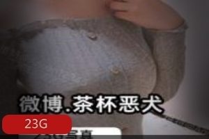 微博推特茶杯恶犬最新合集23G，女神身材美腿图集
