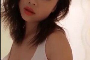 网红迪爱儿魅力合集88V45G，成熟清纯女神魅力四送