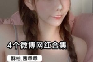 二次元微博网红合集，4位邻家小气妹子，B站热度高，视频数量不详，大小不详，推荐给喜爱二次元的你！