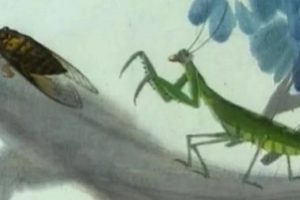 上海美术电影制片厂《螳螂捕蝉》四版合集4部1G，经典剪纸动画，警示深陷危机