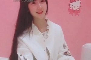 大番茄姐姐御姐热舞美腿合集百部1.1G太诱惑
