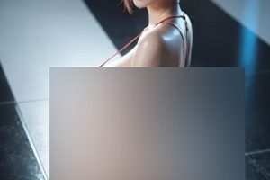 资源合集墨迹热辣作品287张656M丰满
