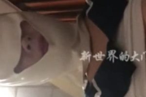 新世界大罩杯绝赞视频4部467m云盘合集