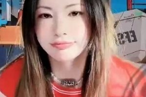 一只霸王兽15.3G抖音美腿合集超勾人