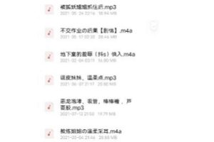 仙姬_绝版助眠音频合集2.07GB站虎牙人气声优主播超感觉